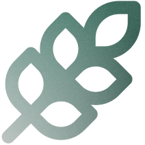 Sansglu Logo
